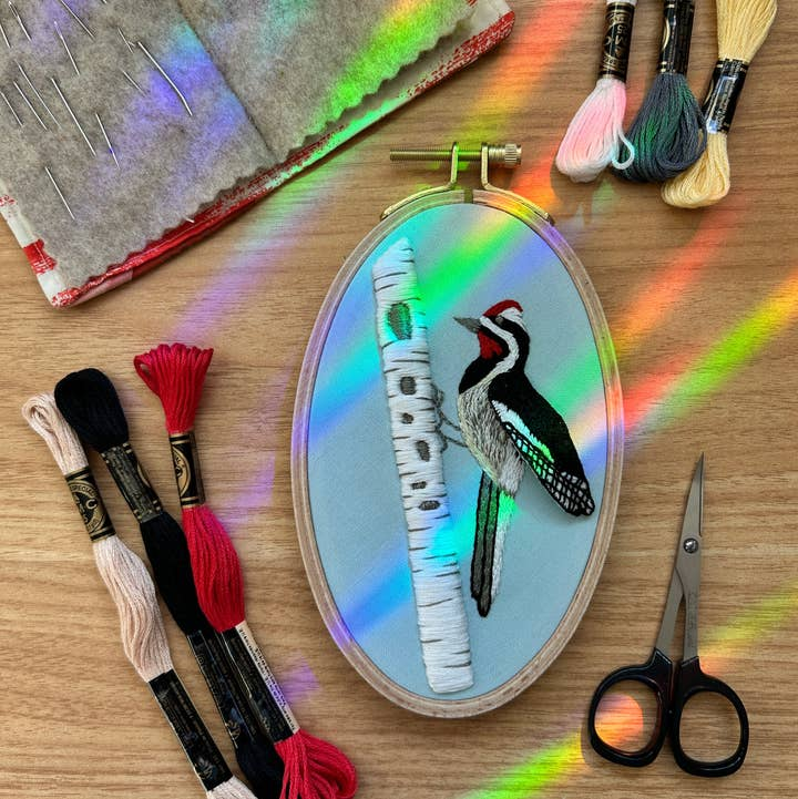 3D Busy Woodpecker Advanced Embroidery Kit
