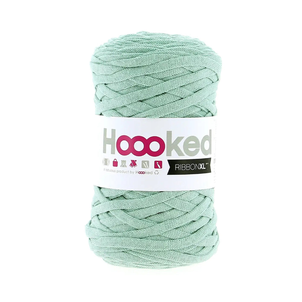 Light green skein of yarn with 'Hoooked' label on a white background