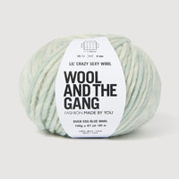 A skein of Lil' Crazy Sexy Wool by Wool and The Gang in Duck Egg Blue Marl, which is a variegated light blue and white colorway. 