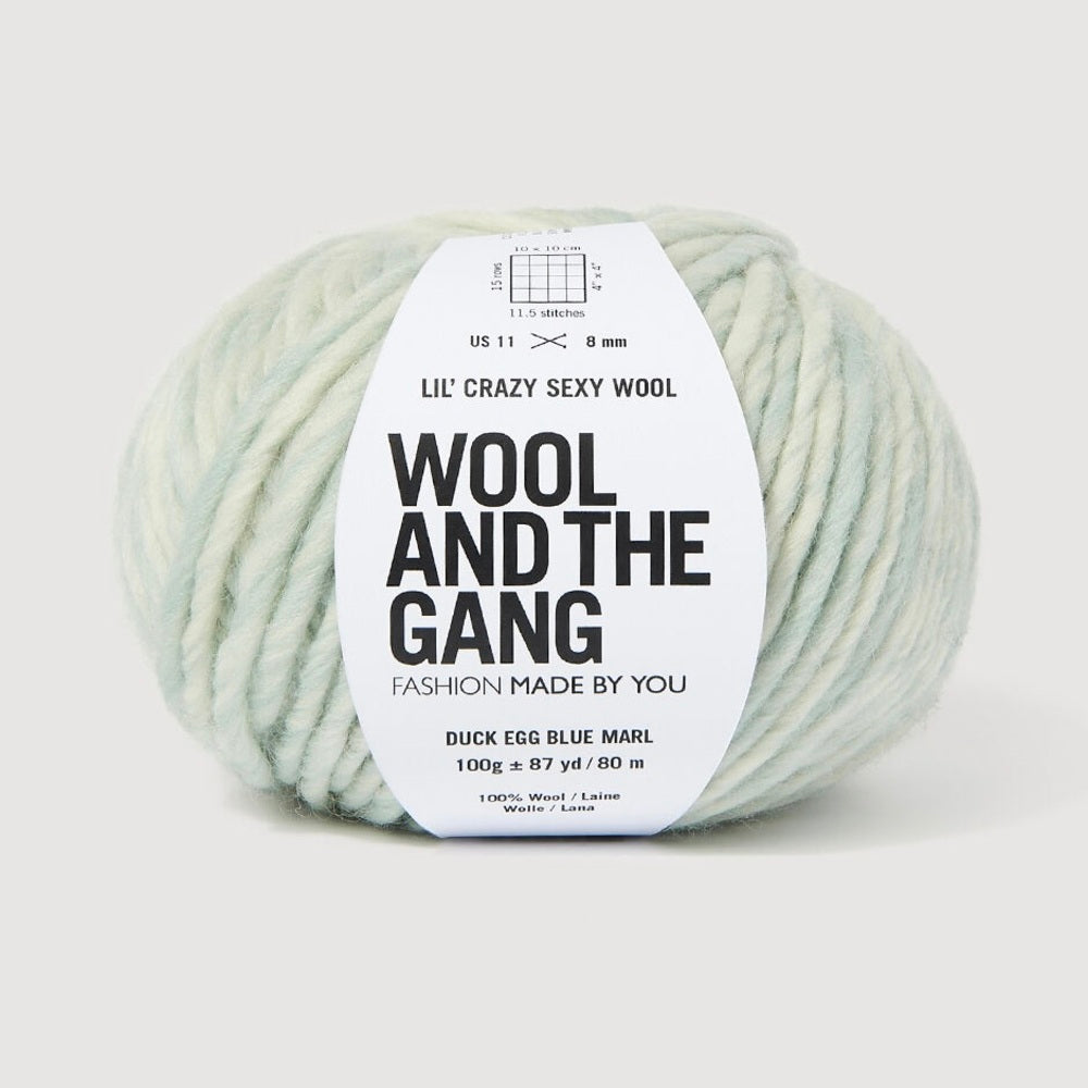 A skein of Lil' Crazy Sexy Wool by Wool and The Gang in Duck Egg Blue Marl, which is a variegated light blue and white colorway. 