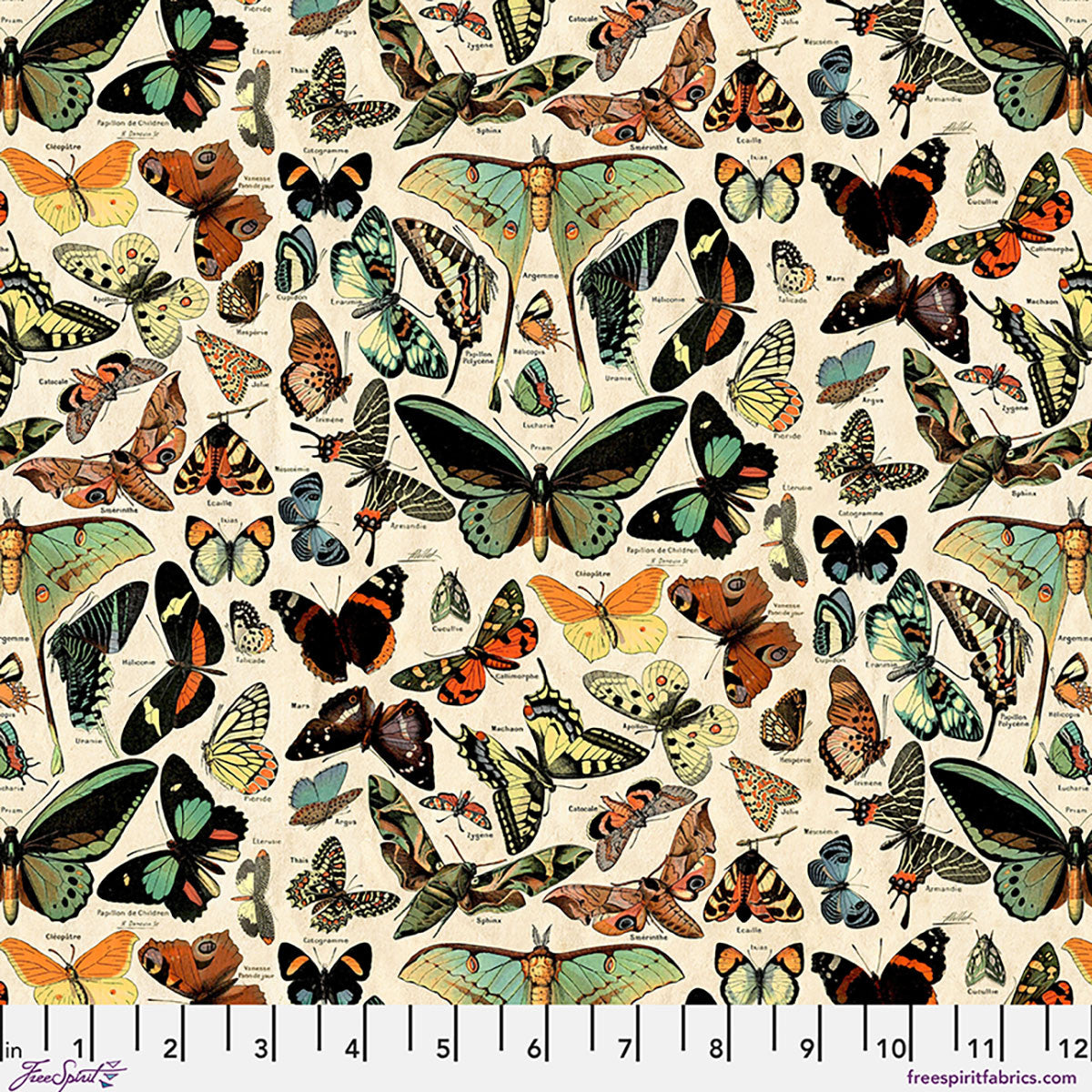 Teal Butterflies Canvas in Teal
