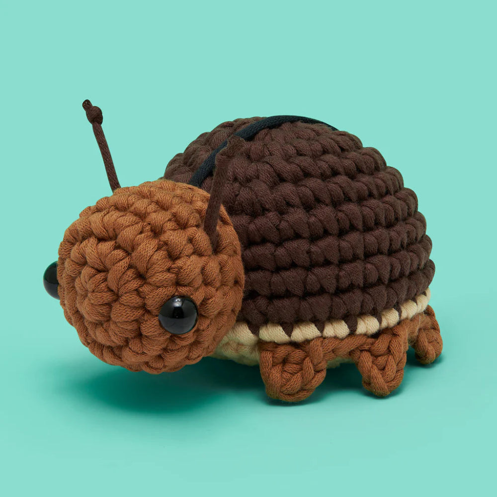 Crocheted roach on a teal background
