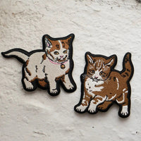 Two kittens as sticky patches