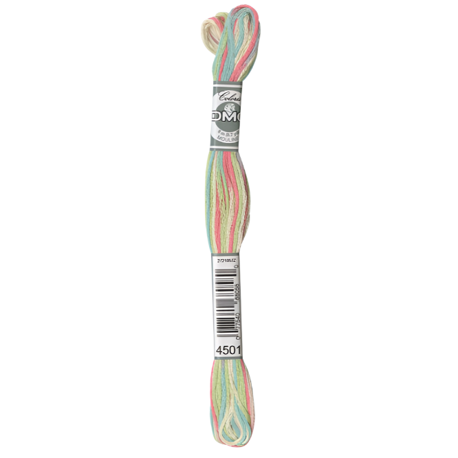 Coloris Embroidery Floss - 4501