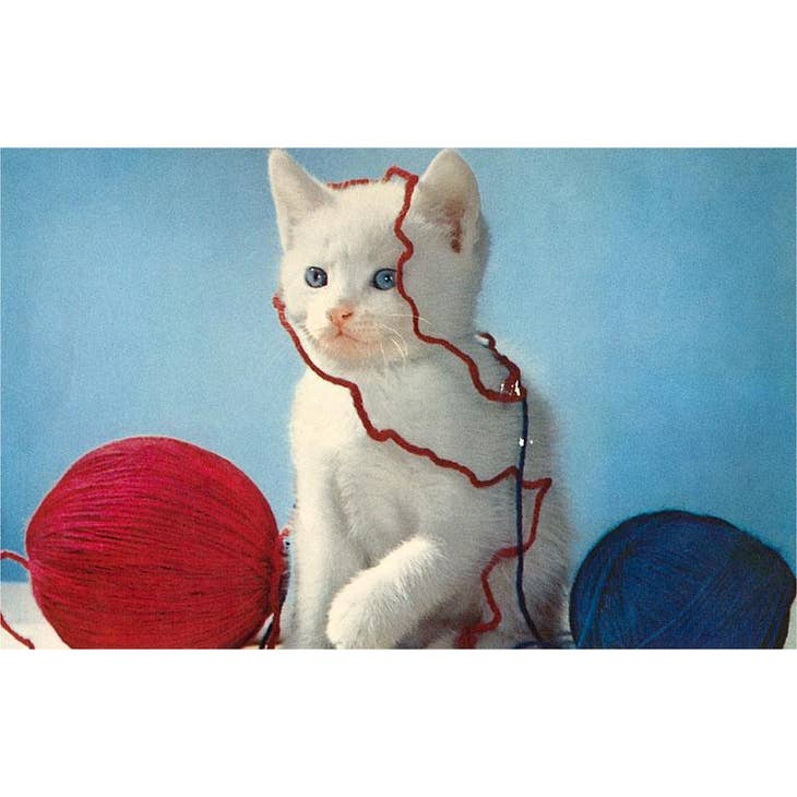 Yarn Ball Kitten Card Greeting Cards Found Image Press