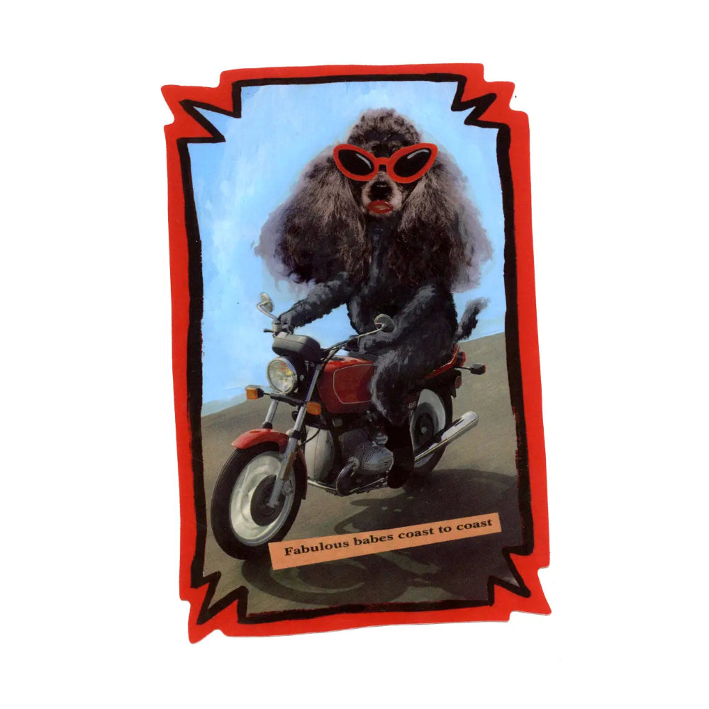 Black dog wearing red sunglasses riding on a red motorcycle sticker