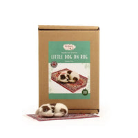 Little Dog on Rug Needle Felt Kit Kit The Makers