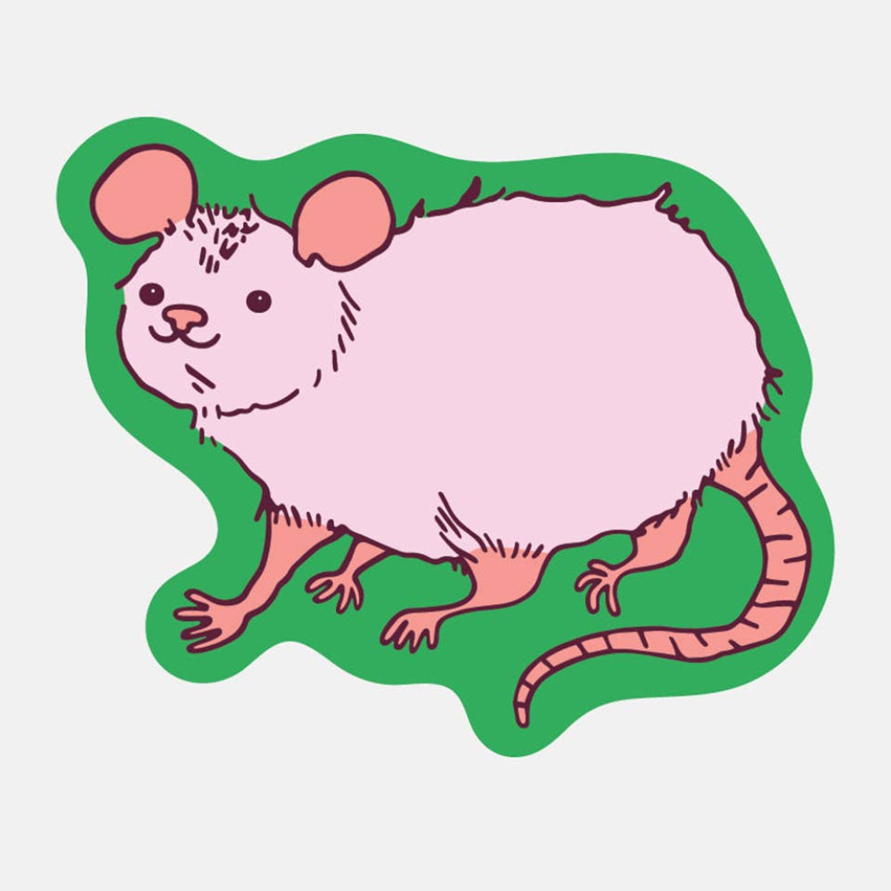 Illustration of a rat with a green border on a light blue background