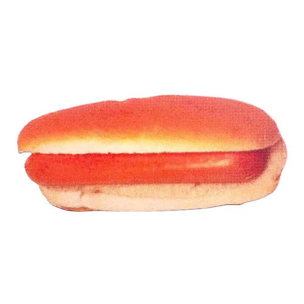 Hot dog postcard with a bun on a white background