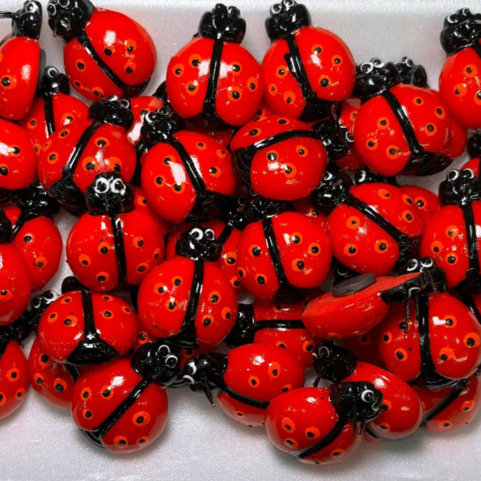ladybug magnet