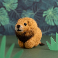 Lion Mini Felting Kit Kit Hawthorn Handmade