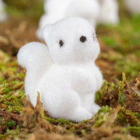 A miniature fuzzy white squirrel sits on a mossy surface.