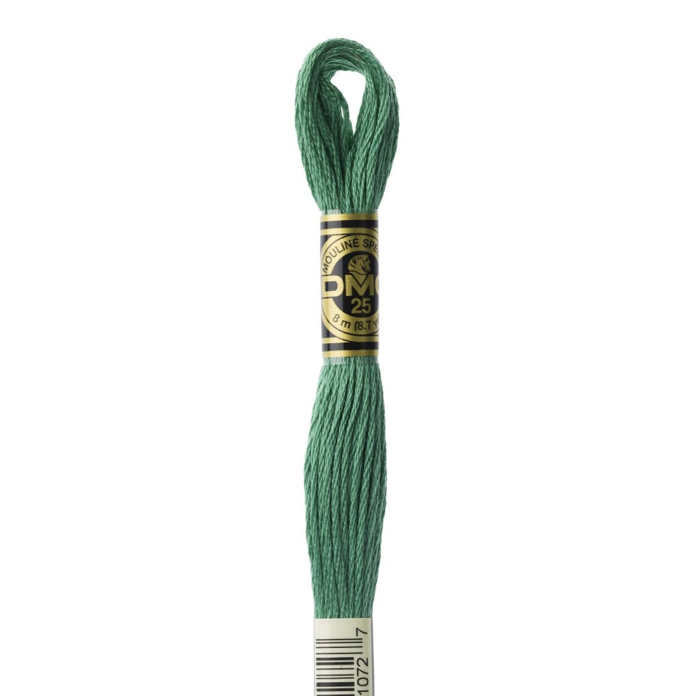 Embroidery Floss - 163 Needlework DMC