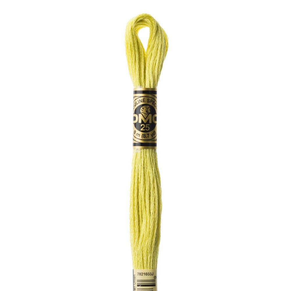Embroidery Floss - 165 Needlework DMC