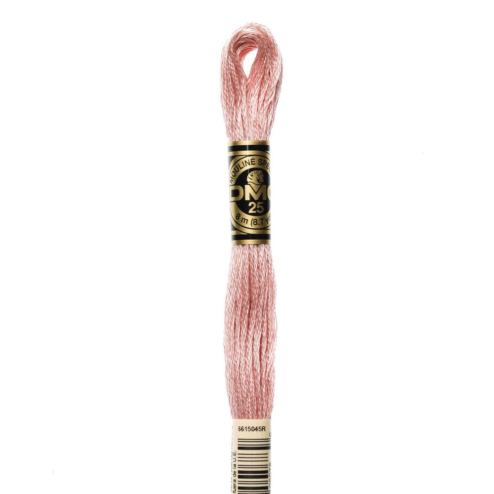 Embroidery Floss - 224 Needlework DMC