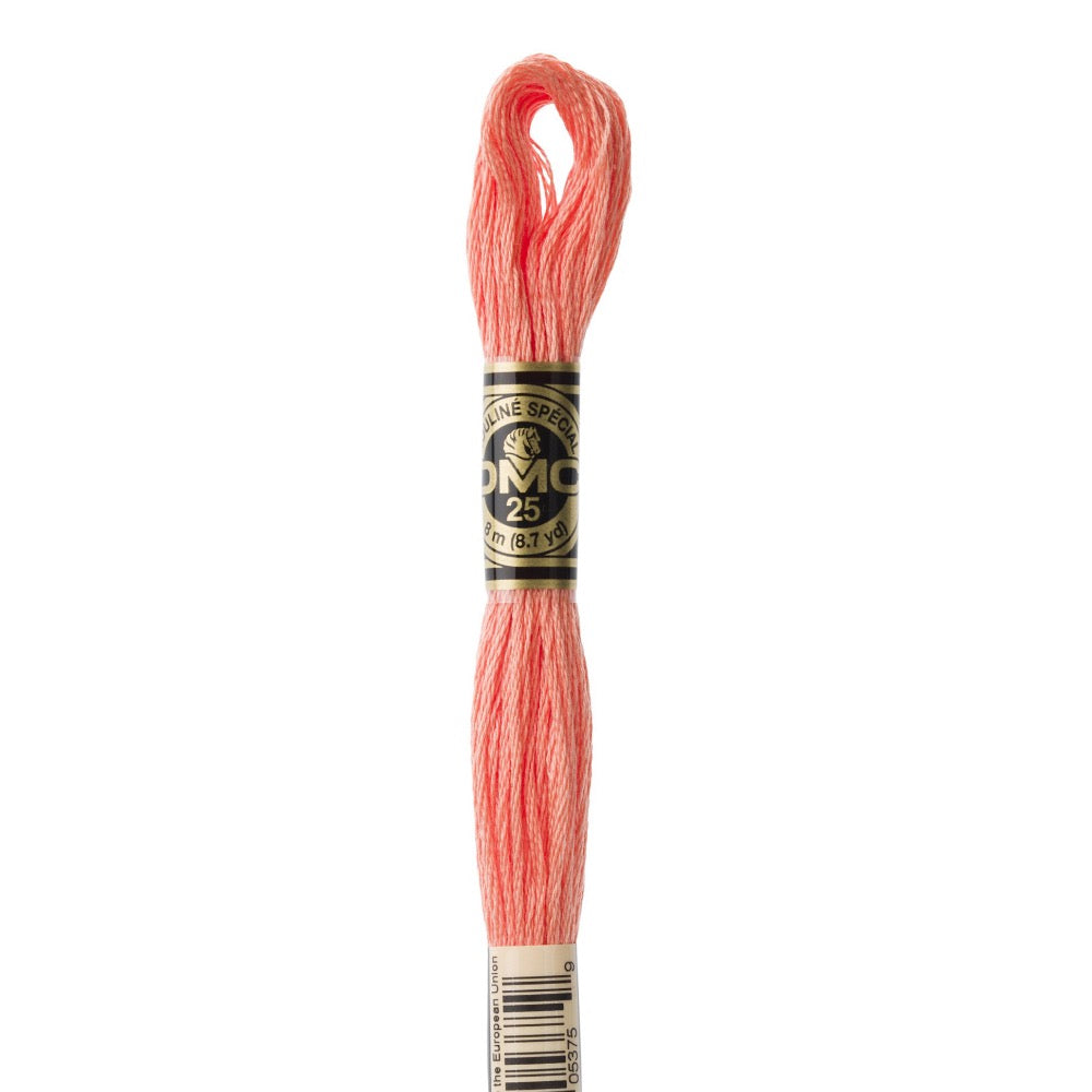 Embroidery Floss - 3341 Needlework DMC
