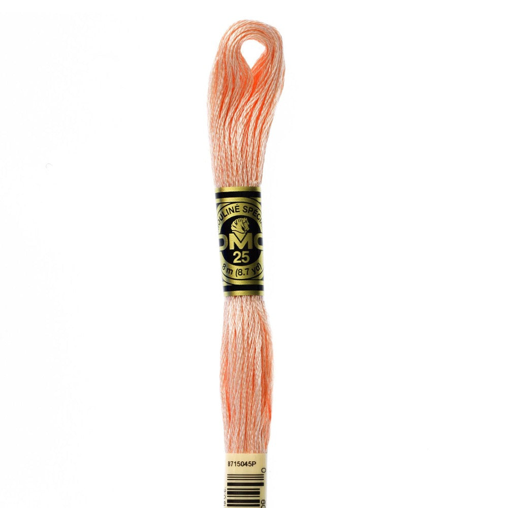 Embroidery Floss - 353 Needlework DMC