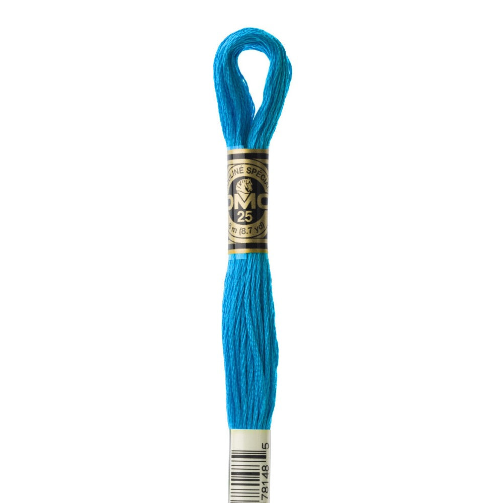 Embroidery Floss - 3843 Needlework DMC