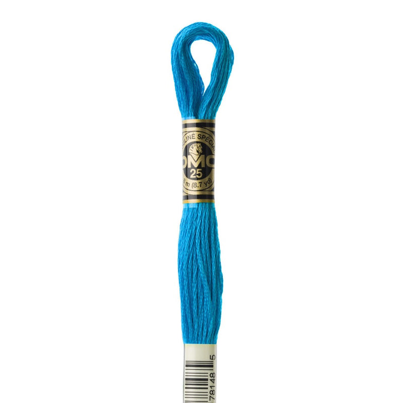 Embroidery Floss - 3843 Needlework DMC