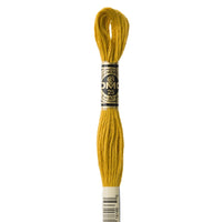 Embroidery Floss - 3852 Needlework DMC