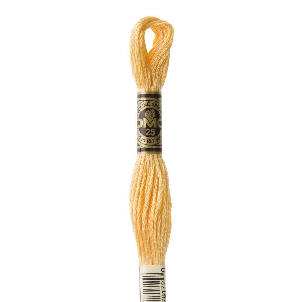 Embroidery Floss - 3855 Needlework DMC