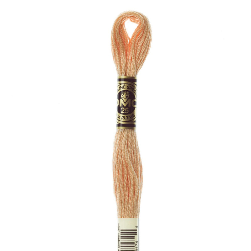 Embroidery Floss - 3856 Needlework DMC