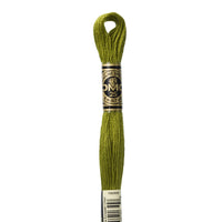 Embroidery Floss - 580 Needlework DMC