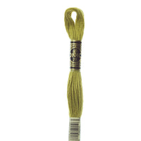 Embroidery Floss - 733 Needlework DMC