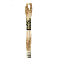 Embroidery Floss - 738 Needlework DMC