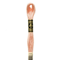Embroidery Floss - 754 Needlework DMC