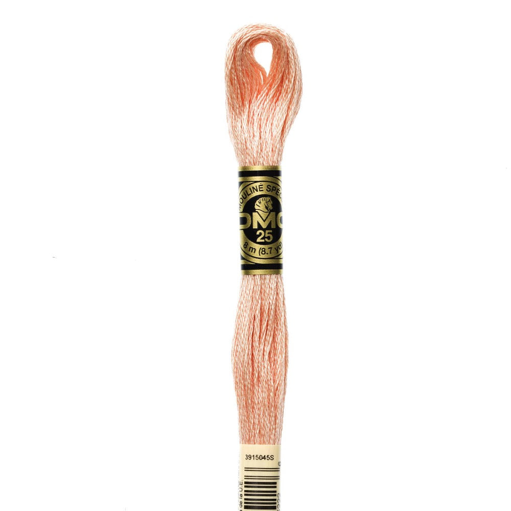 Embroidery Floss - 754 Needlework DMC