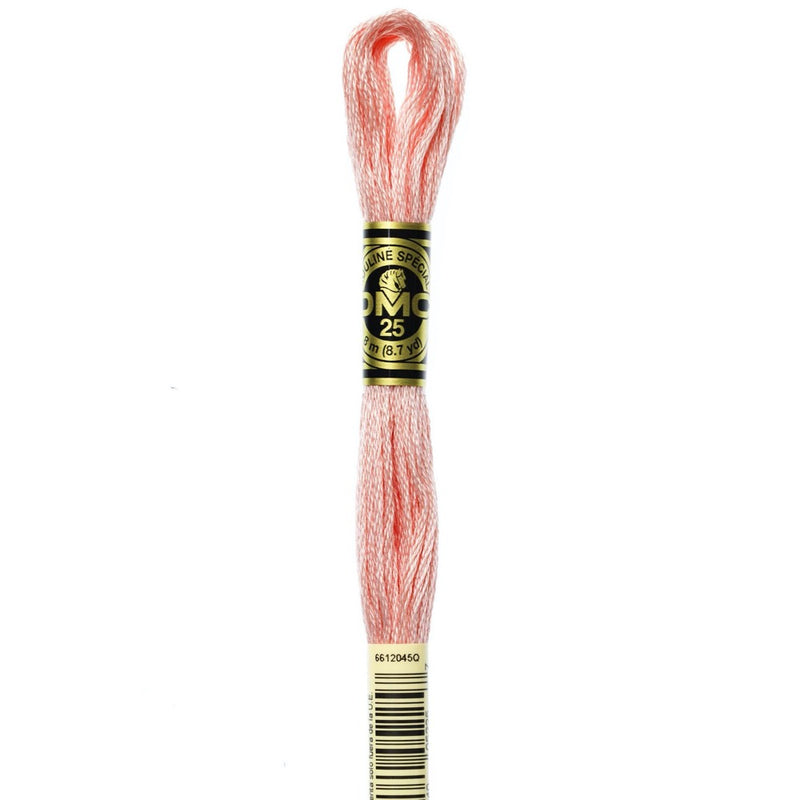 Embroidery Floss - 761 Needlework DMC