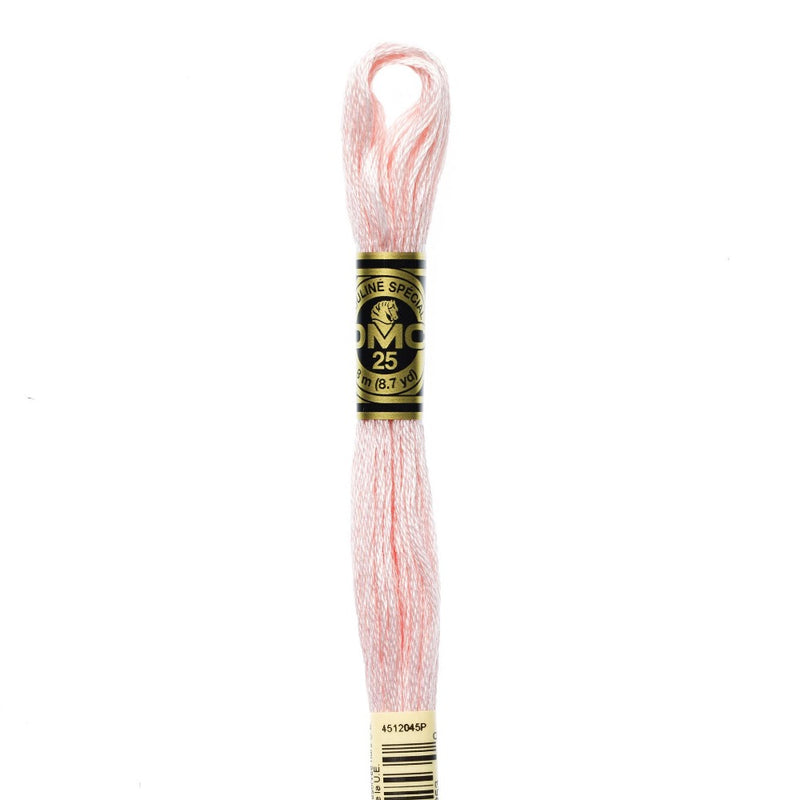 Embroidery Floss - 818 Needlework DMC