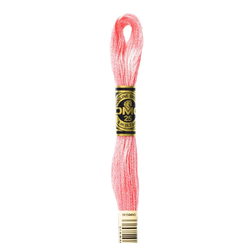 Embroidery Floss - 894 Needlework DMC