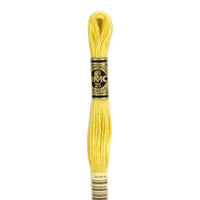 Embroidery Floss - 17 Needlework DMC