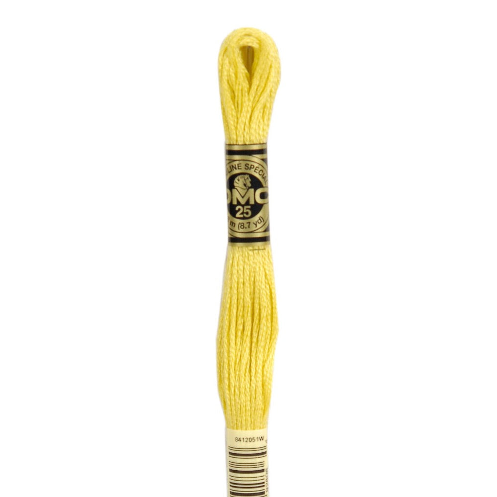 Embroidery Floss - 17 Needlework DMC