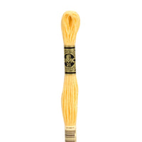 Embroidery Floss - 19 Needlework DMC