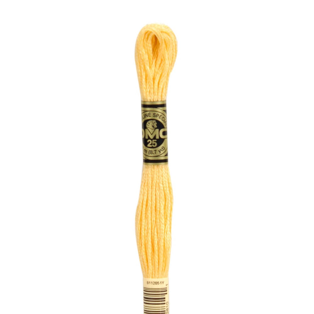 Embroidery Floss - 19 Needlework DMC