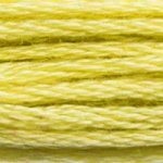 Embroidery Floss - 165 Needlework DMC