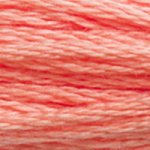 Embroidery Floss - 3341 Needlework DMC