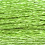 Embroidery Floss - 704 Needlework DMC